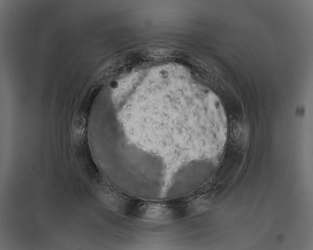 X0000097000507200803071121