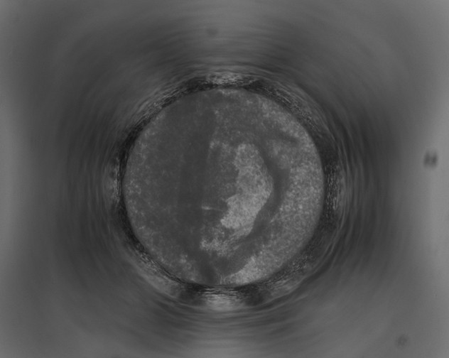 X0000097000510200803071121