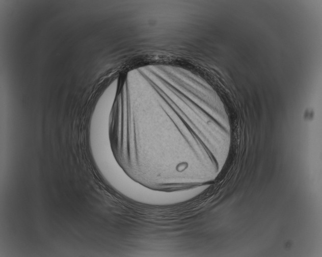 X0000097000511200803071121