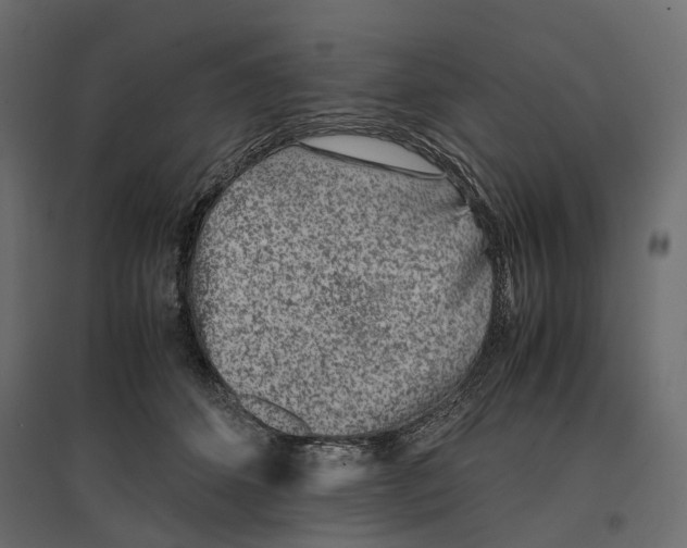 X0000097000512200803071121