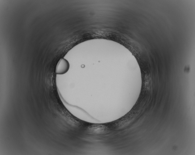 X0000097000514200803071120