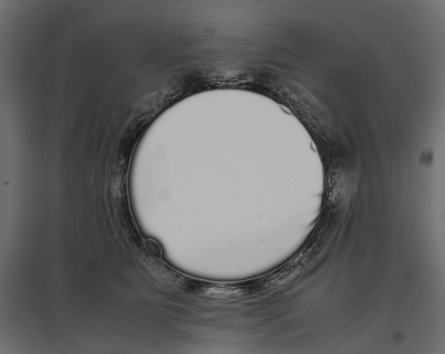 X0000097000515200803071120