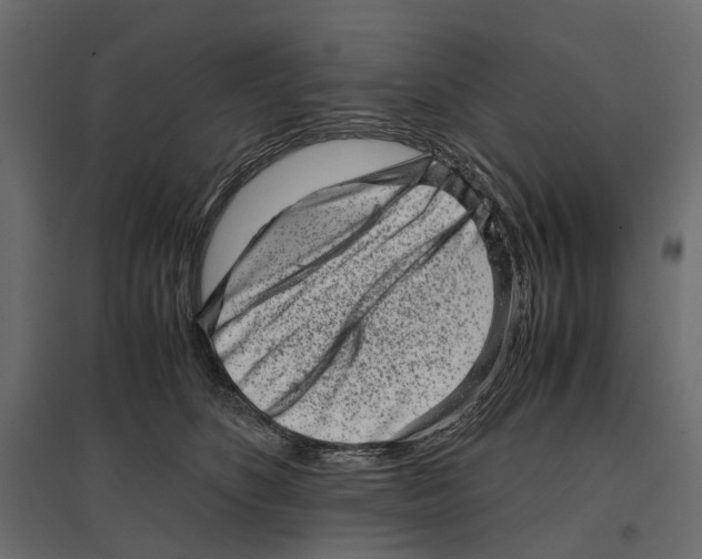 X0000097000516200803071120