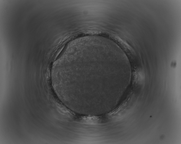 X0000097000517200803071120