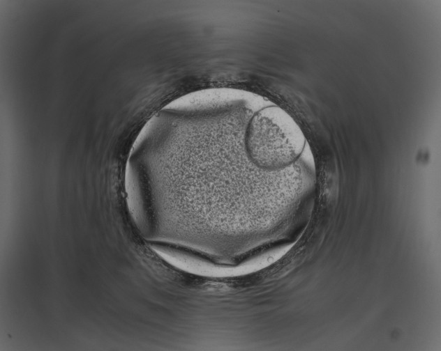 X0000097000519200803071120