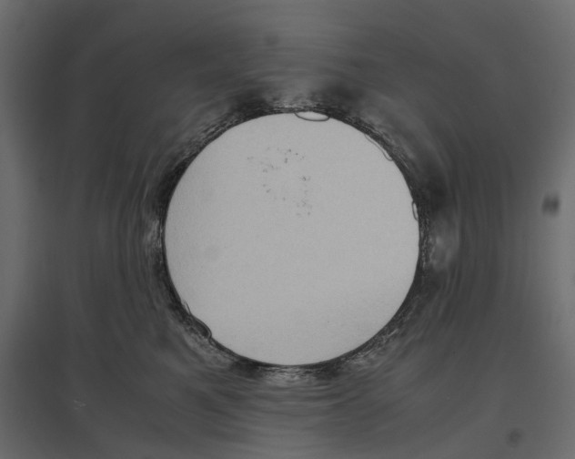 X0000097000521200803071120