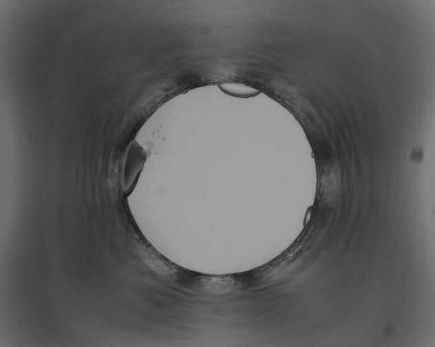 X0000097000525200803071120