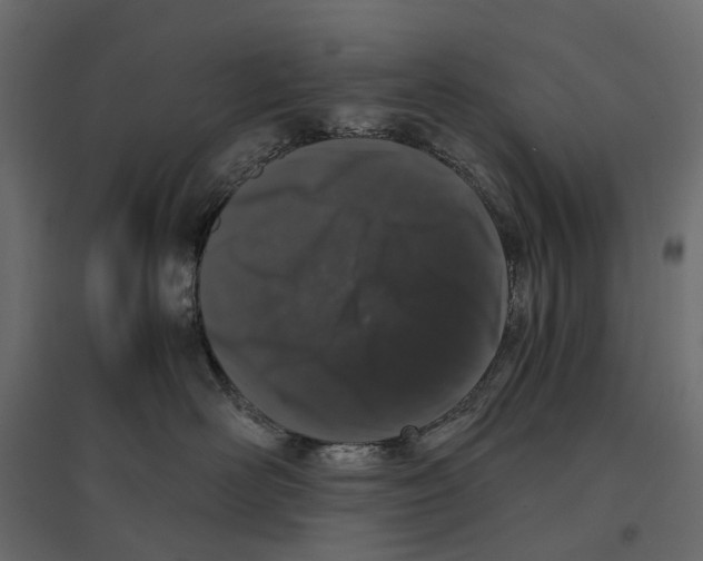 X0000097000526200803071120