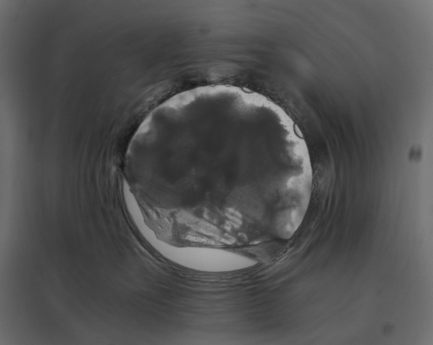 X0000097000527200803071120