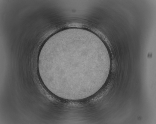 X0000097000529200803071120