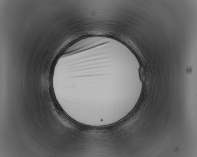 X0000097000530200803071120