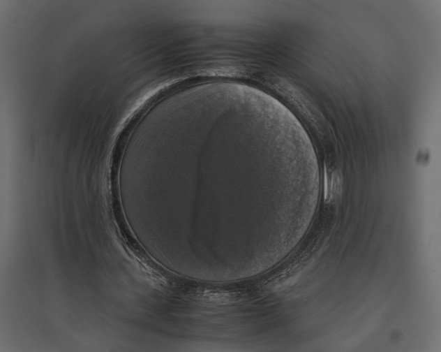 X0000097000531200803071120