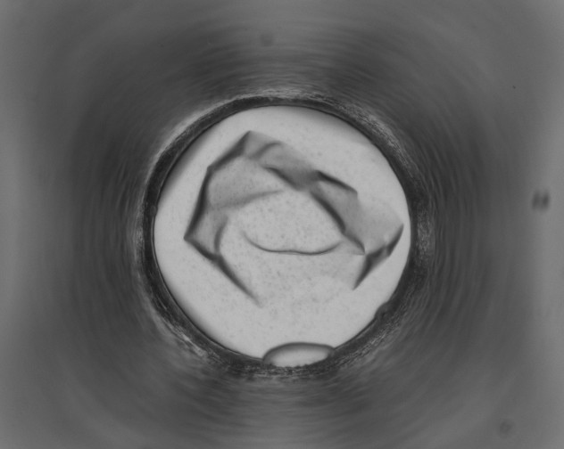 X0000097000532200803071120