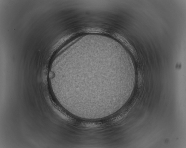 X0000097000533200803071120