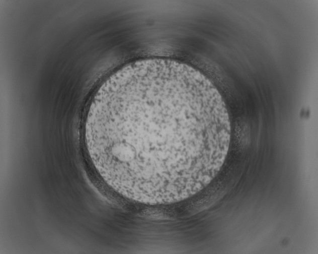 X0000097000534200803071120