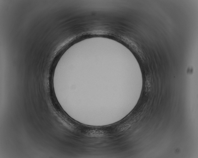 X0000097000535200803071120