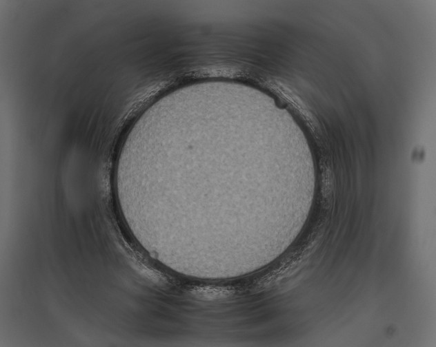 X0000097000537200803071120