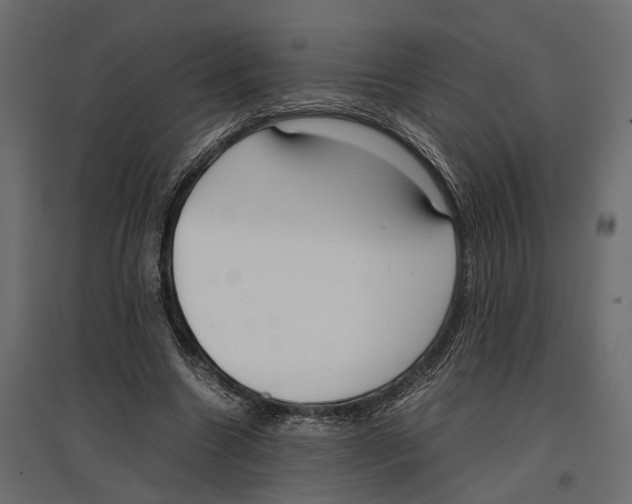 X0000097000538200803071120