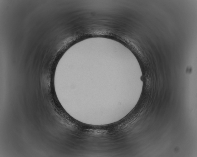 X0000097000539200803071120