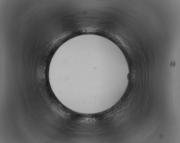 X0000097000543200803071120