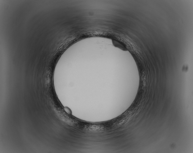 X0000097000546200803071120