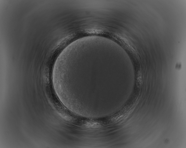 X0000097000547200803071120