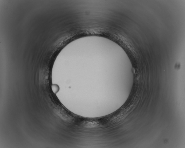 X0000097000548200803071120