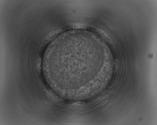 X0000097000550200803071120