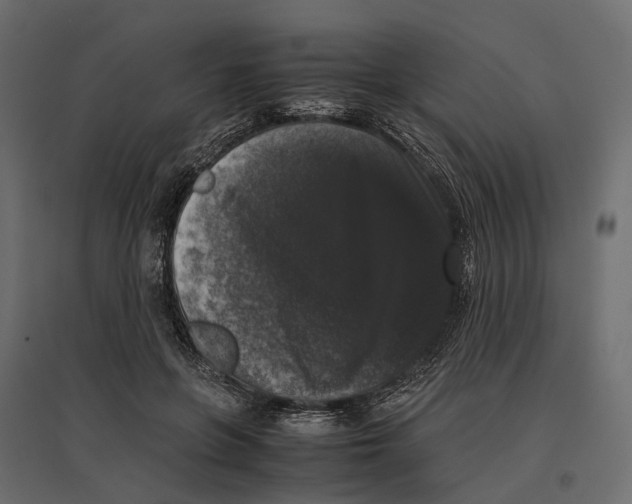 X0000097000551200803071120