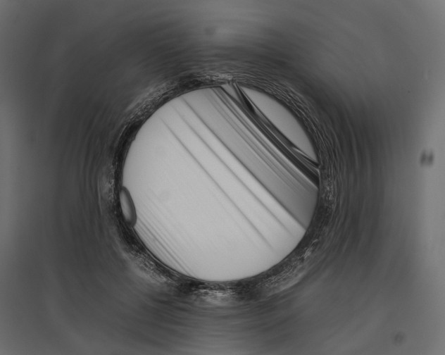 X0000097000552200803071120