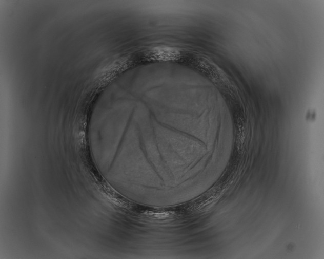 X0000097000553200803071120