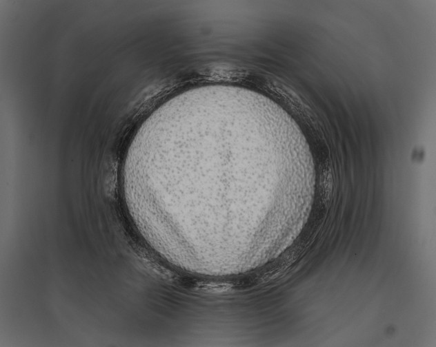 X0000097000554200803071120