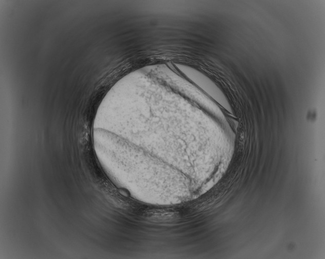 X0000097000555200803071120