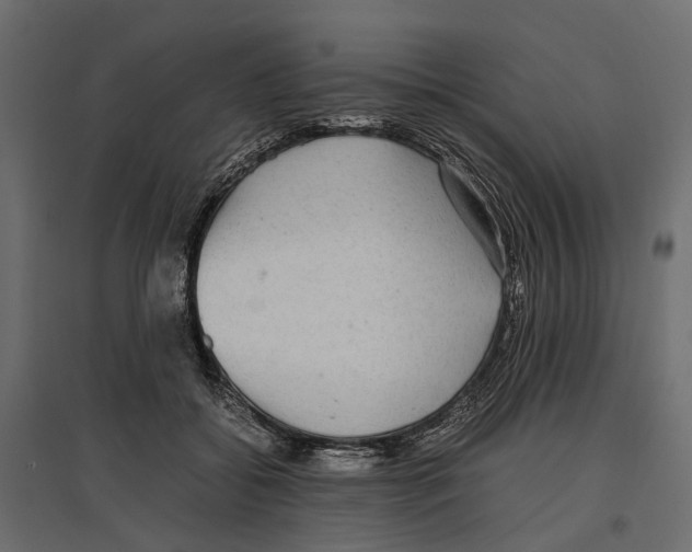 X0000097000556200803071120