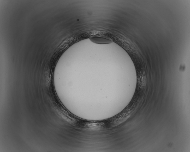 X0000097000558200803071120