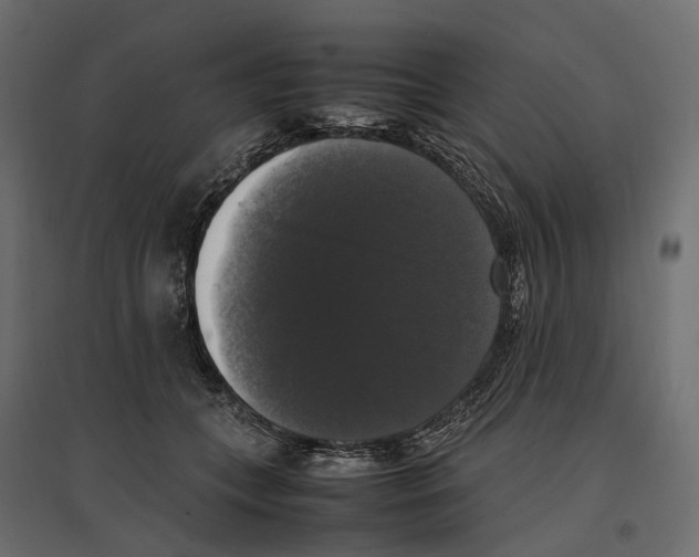 X0000097000559200803071120