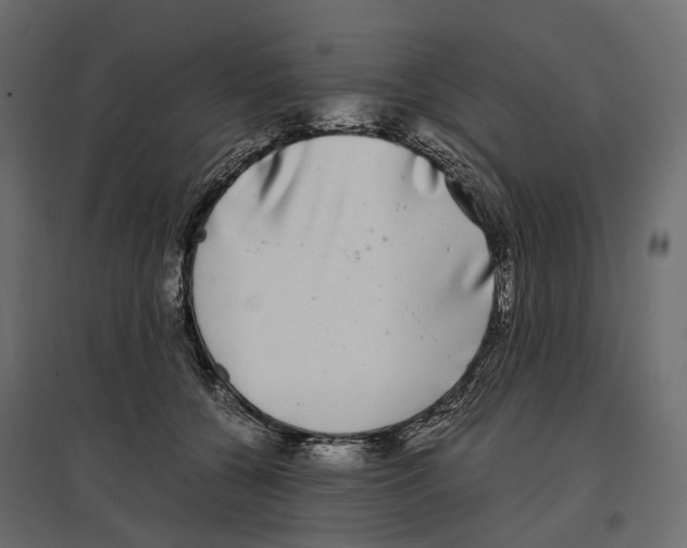 X0000097000560200803071120