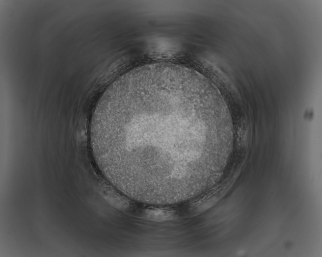 X0000097000561200803071120