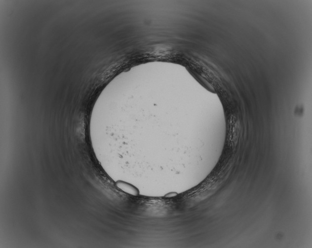 X0000097000562200803071120