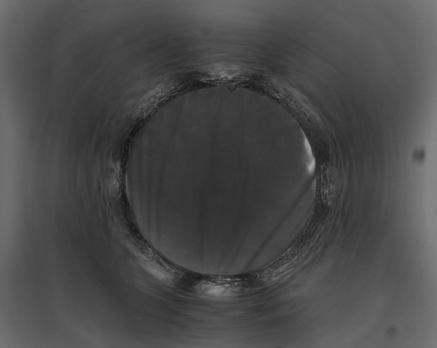 X0000097000563200803071120