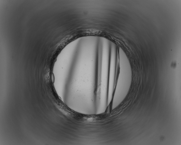 X0000097000564200803071120