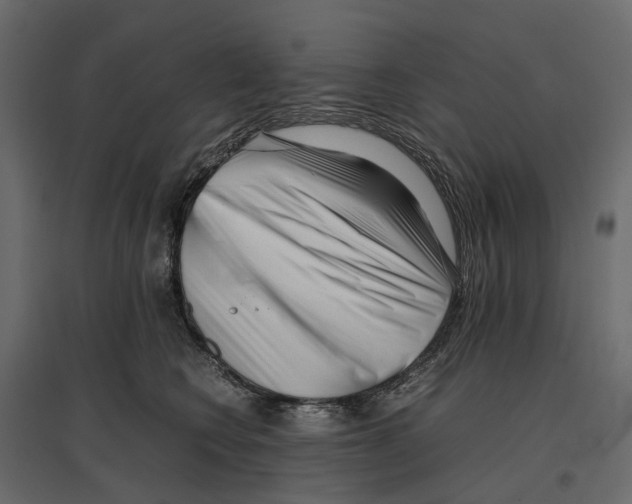 X0000097000566200803071120