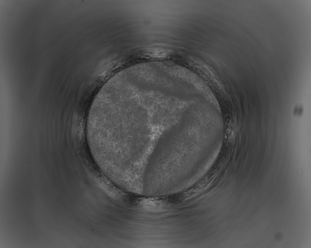 X0000097000568200803071120