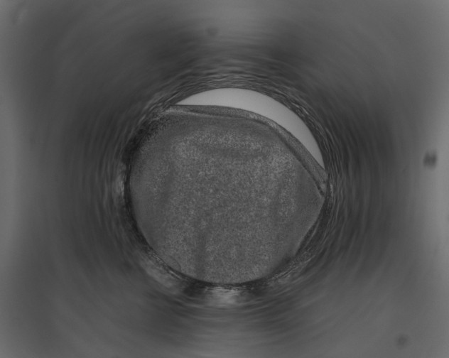 X0000097000570200803071120