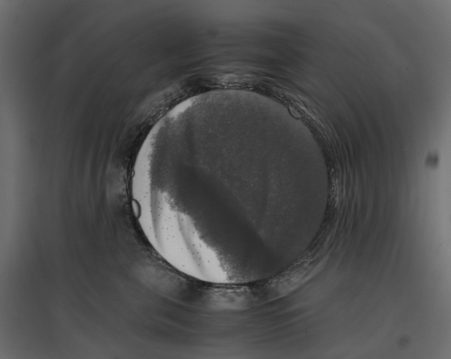 X0000097000571200803071120