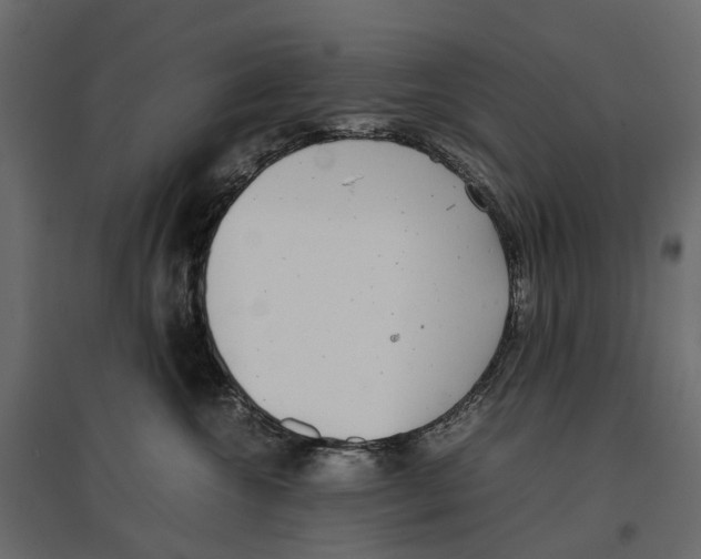 X0000097000572200803071120