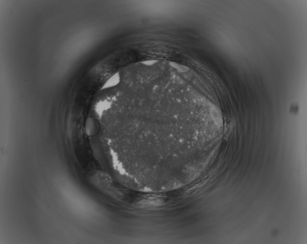 X0000097000573200803071120