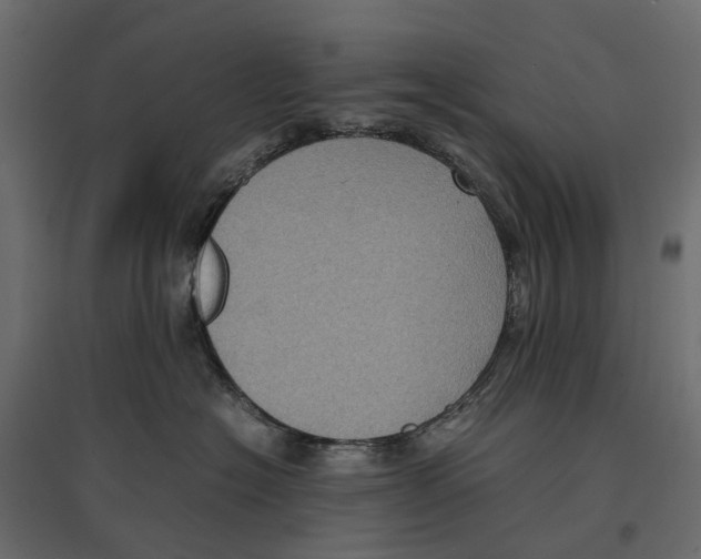 X0000097000574200803071120