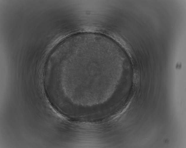 X0000097000577200803071120