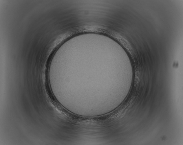 X0000097000578200803071120